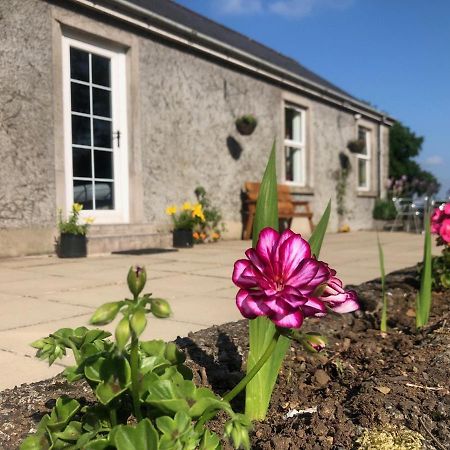 Ballyconnelly Cottages, Galgorm Area Cullybackey Экстерьер фото