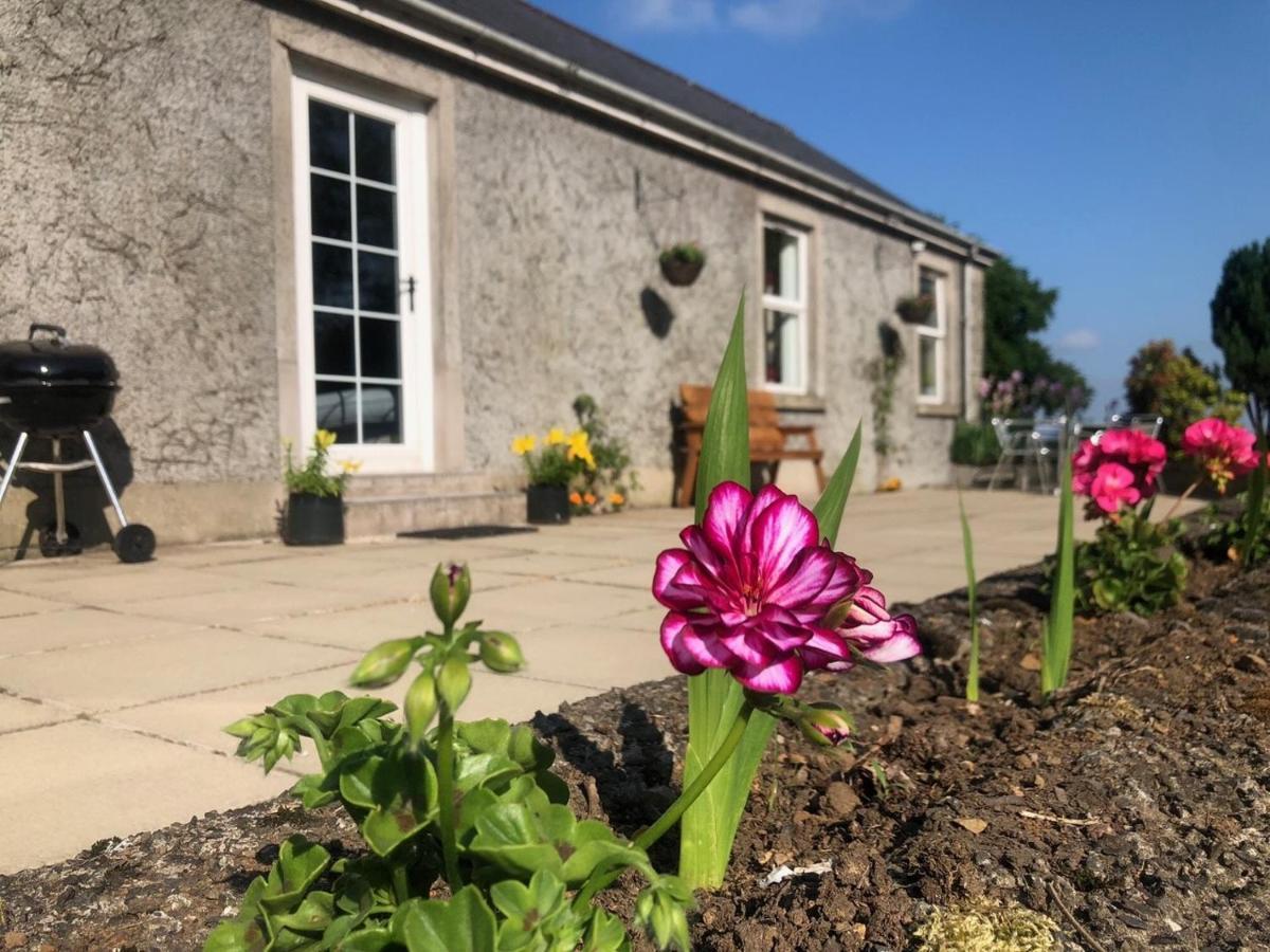Ballyconnelly Cottages, Galgorm Area Cullybackey Экстерьер фото